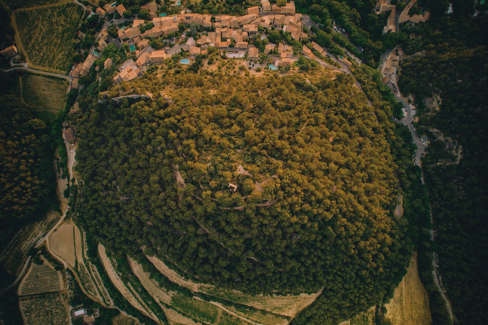 Village on a wooded hilltop ringed by vineyards, seen from above