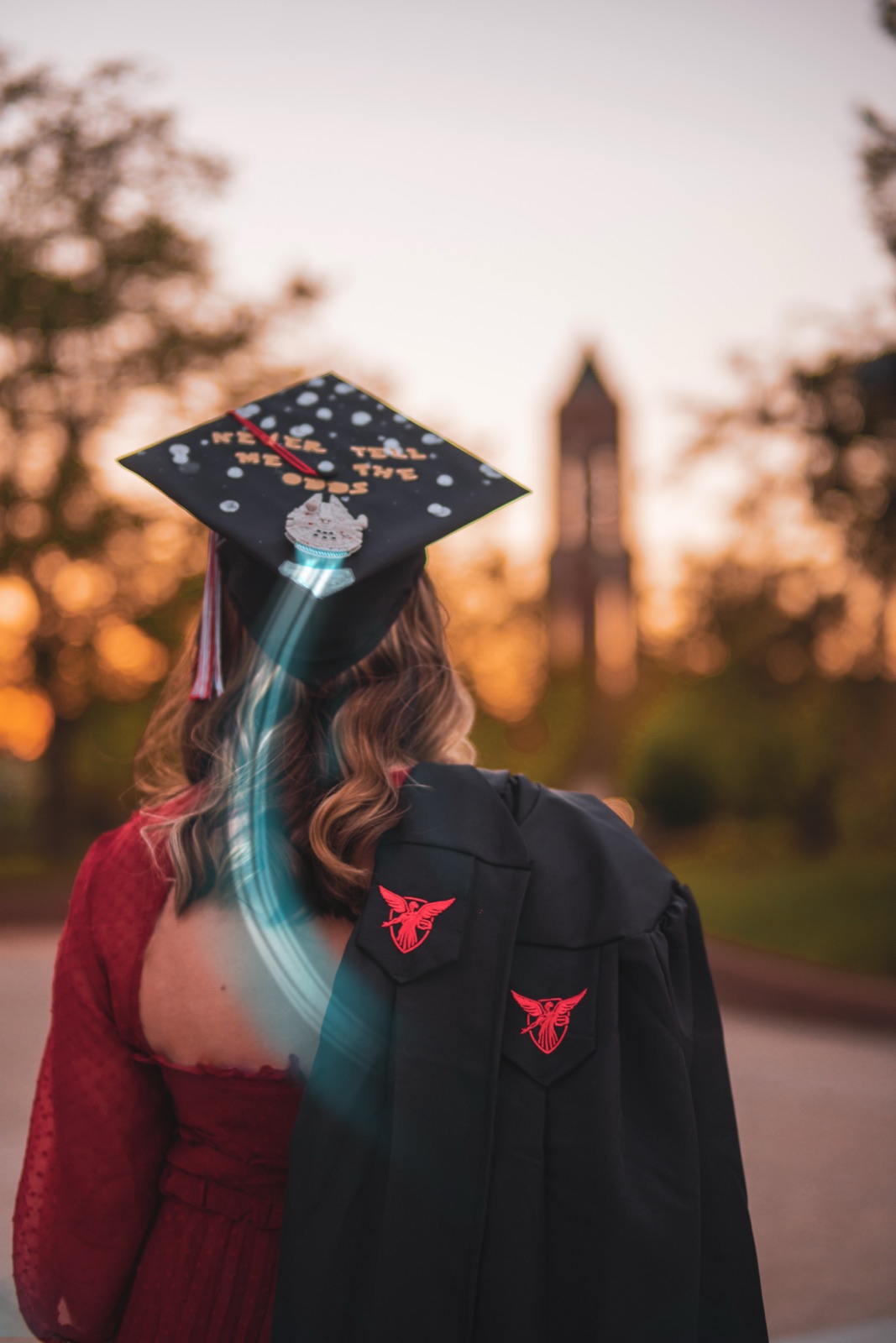 Graduate seen from behind in a decorated cap