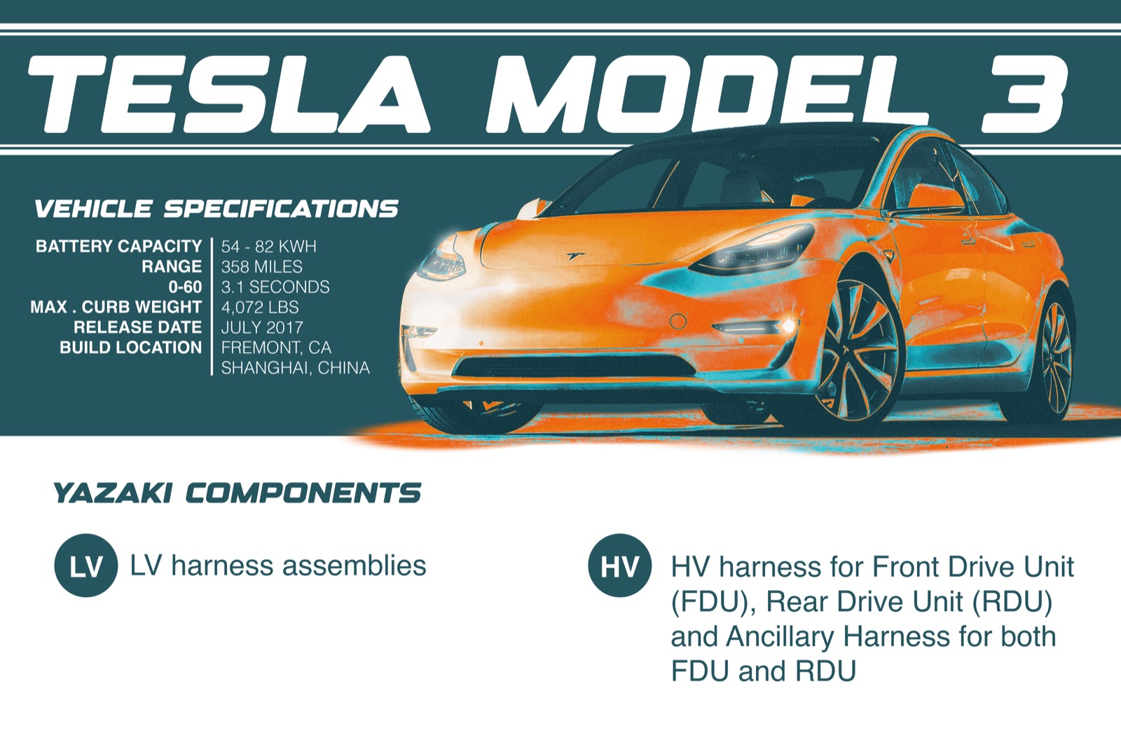 Tesla Model 3 harness graphic