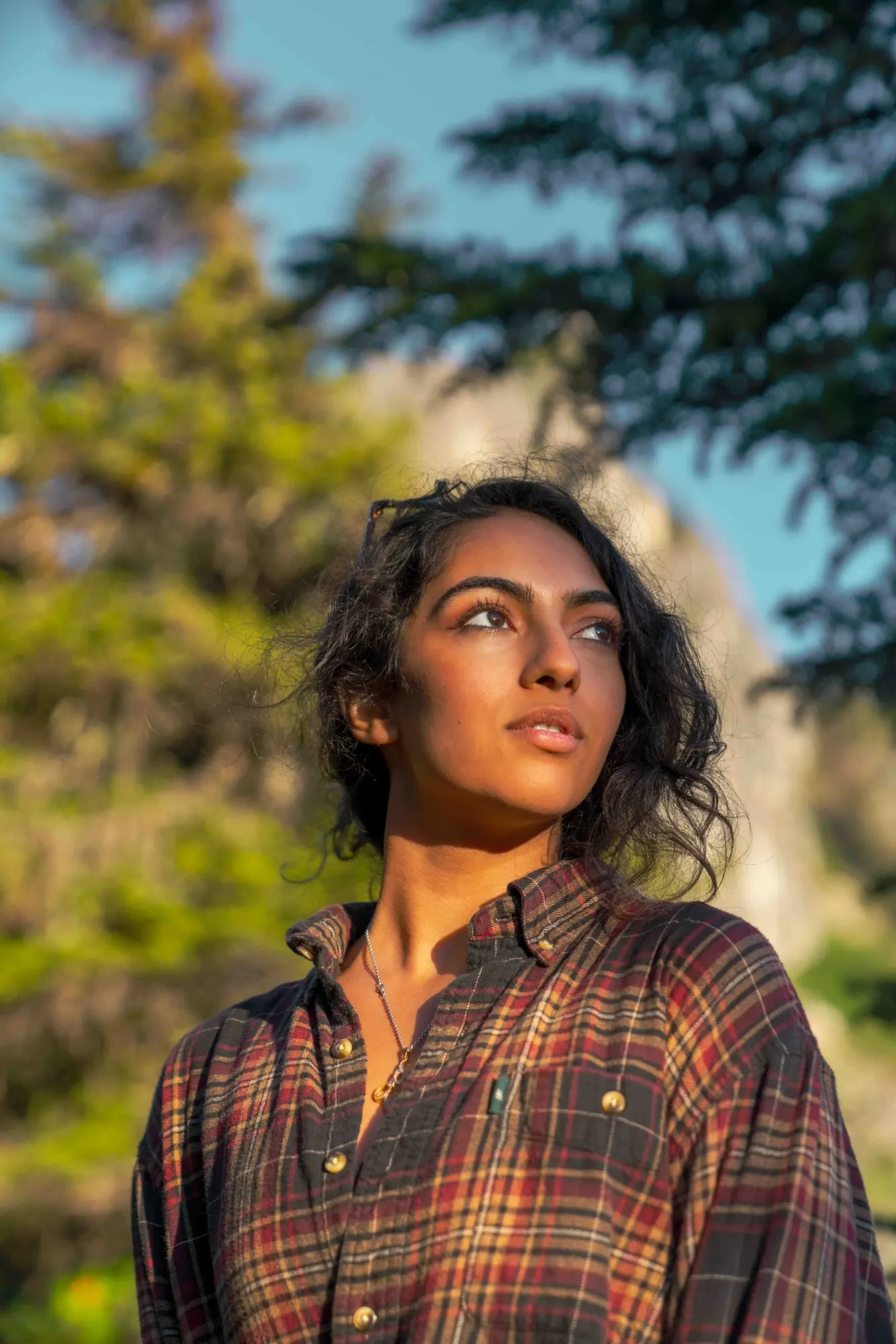 A woman in a plaid shirt in golden light among pines