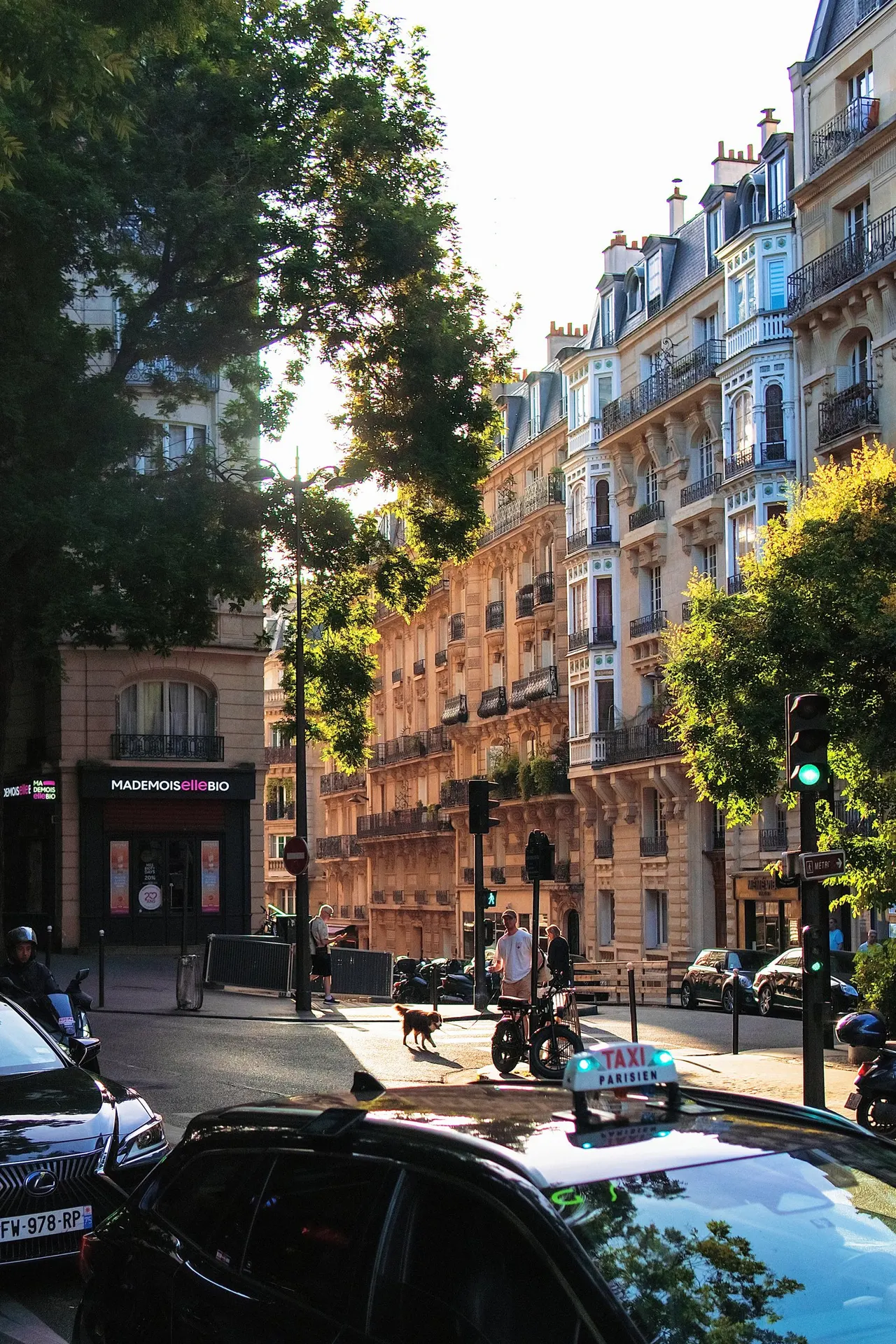 A Paris street of stone apartment buildings in sunlight