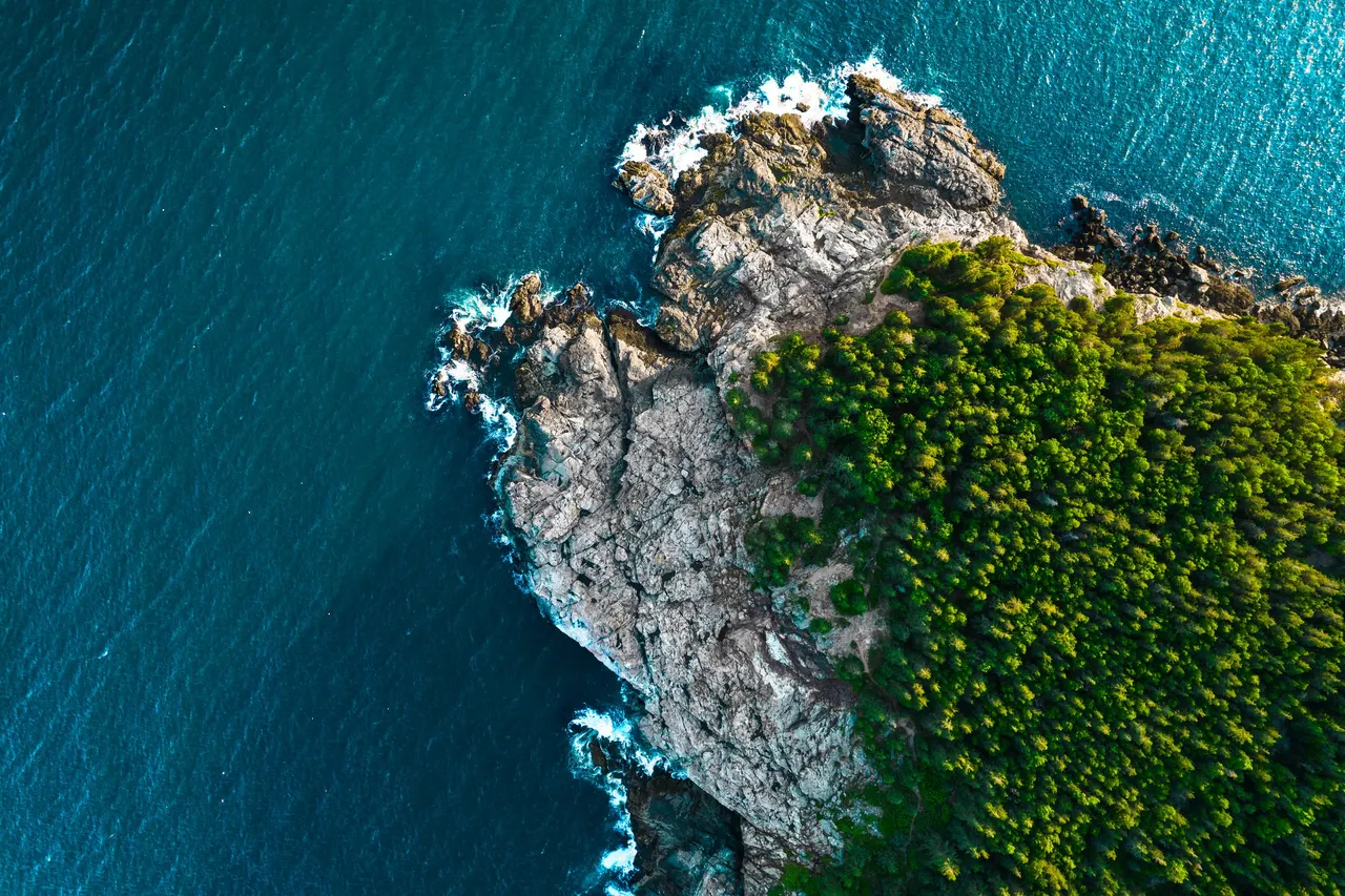 A forested rocky island in deep blue water, seen from straight above